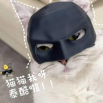 【台灣出貨】萬聖節寵物面具 面具 蝙蝠俠面具 3d打印 蝙蝠俠 頭盔玩具 頭飾 寵物面具 小貓面具 寵物搞怪 蝙蝠貓面具