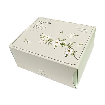 博美包裝 抽屜盒(大) 佐春光 (10入) 收納盒  淺綠色  1組