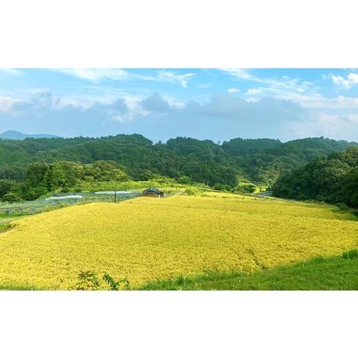 ふるさと納税 岡山県 井原市 令和5年産 岡山県産あさひ10kg（5kg×2袋）