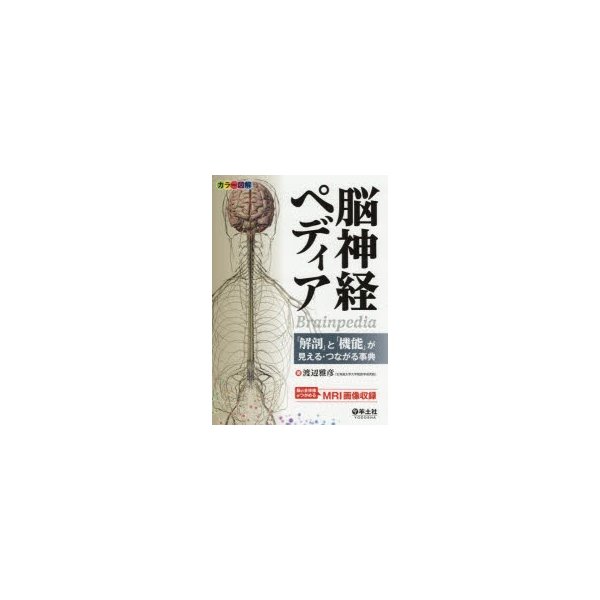 カラー図解 脳神経ペディア~ 解剖 と が見える・つながる事典