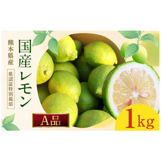 ふるさと納税 熊本県 水俣市 イエローレモン A品 約1kg