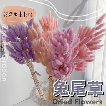 兔尾草 永生兔尾草 乾燥花材料包 DIY乾燥花 台灣現貨  狐狸尾 乾花 迷你小花 拍攝道具 家居裝飾【盞樂空間】