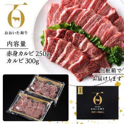 ふるさと納税 佐伯市 おおいた和牛 カルビ 2種焼肉セット (合計550g・赤身カルビ250g カルビ300g)