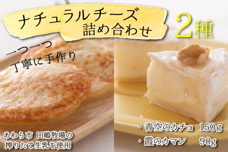 ナチュラルチーズ 2種 詰め合わせ ／ チーズ とろける おつまみ パン ワイン スライス 食べ比べ あわら