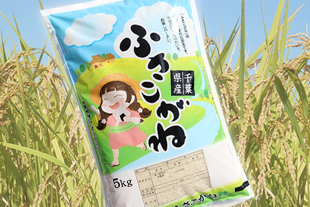 令和5年 千葉富津産「ふさこがね」10kg精米