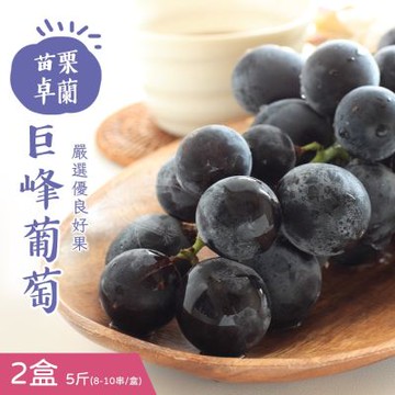 產地直送 苗栗卓蘭優等巨峰葡萄5斤x2盒(8-10串/盒)