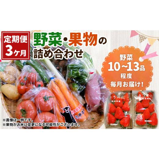 ふるさと納税 熊本県 菊陽町 菊陽町特産品 「野菜・果物などの詰め合わせ」