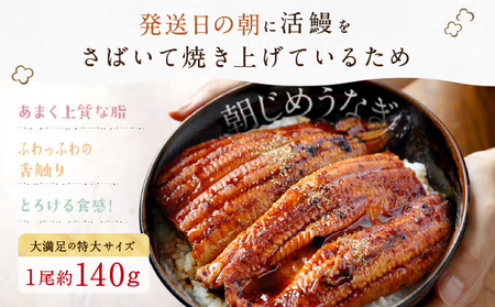 朝じめ うなぎ 溶岩焼き 蒲焼き 3尾（約140g×3尾）