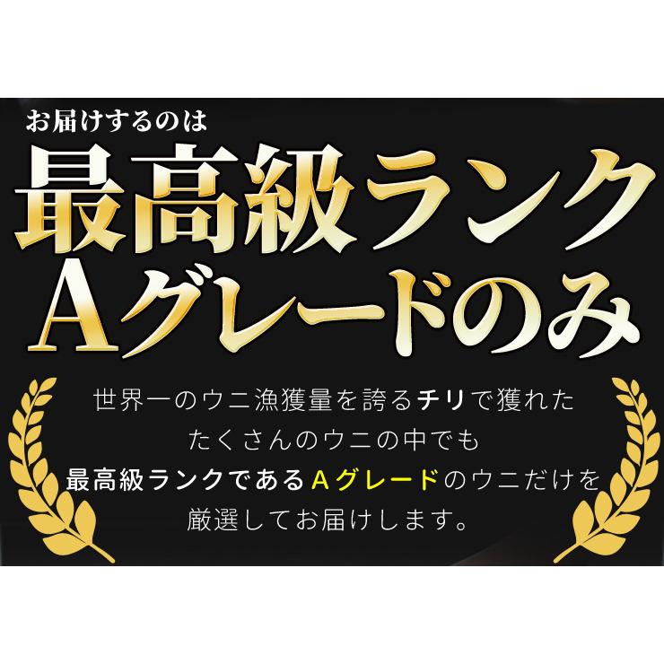 うに １００ｇ×４ 天然冷凍生ウニ 刺身雲丹 ミョウバン不使用 無添加 最高級グレードの雲丹 海鮮丼