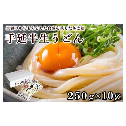 ふるさと納税 香川県 小豆島町 「2日工程熟成仕込み」手延半生うどん　10袋