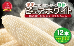 白いとうもろこしピュアホワイト 12本 3.6kg(2024年8月下旬～発送開始予定)