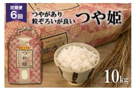 お米 6回 定期便 宮城産 つや姫 10kg×6回 総計60kg [菊武商店 宮城県 気仙沼市 20562737]