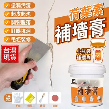 ❤️台灣出貨❤️補牆膏 牆面修補防水補牆膏白色 內牆塗料膏 荷葉素補牆膏 納米級補牆膏 防壁癌壁癌修 補壁癌翻 補土