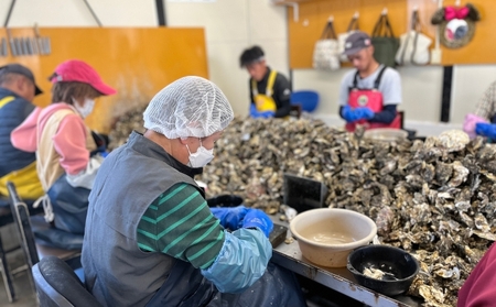 姫路産　剥き真牡蠣（加熱用）約1kg ／ カキ かき 貝類 兵庫県 特産品