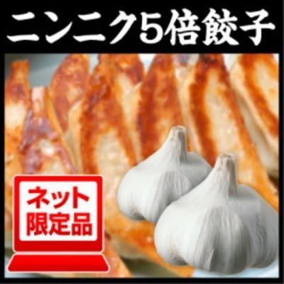 餃子 100個 お取り寄せ ニンニク5倍餃子 ぎょうざのたれ付き ビール おつまみ