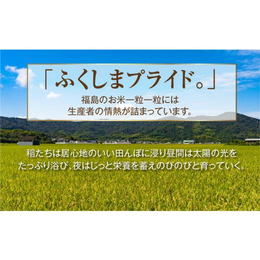 ふるさと納税 福島県 田村市 ＼定期便6回／ 田村産 コシヒカリ 1俵 60kg 10kg ずつ 6回 配送ギフト 贅沢 のし対応 １週間以内発送 福島 …