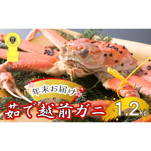 ふるさと納税 福井県 若狭町 茹で越前ガニ食通もうなる本場の味をぜひ、ご堪能ください。約1.2kg以上 越前がに 越前かに 越前カニ カニ ボイル…