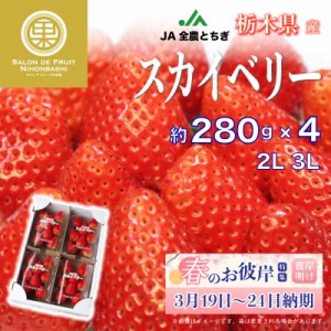 [予約 2024年2月11日-2月14日の納品] バレンタインデー スカイベリーいちご 2L 3Lサイズ 約280g × 栃木県産 冬ギフト お歳暮 御歳暮