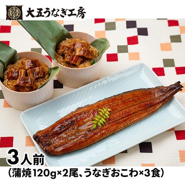 大五通商うなぎ工房 うなぎ問屋の蒲焼き（長焼）・おこわ詰合せ 8480016 1セット（240g：蒲焼120g×2尾、うなぎおこわ×3食）