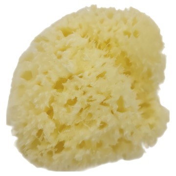 Bellini SA-12 100%地中海天然海綿 意大利產  1個