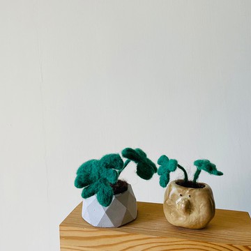 |哈哈羊毛氈| 龜背芋植物盆栽 水泥盆|手捏陶盆 (2款) / 014