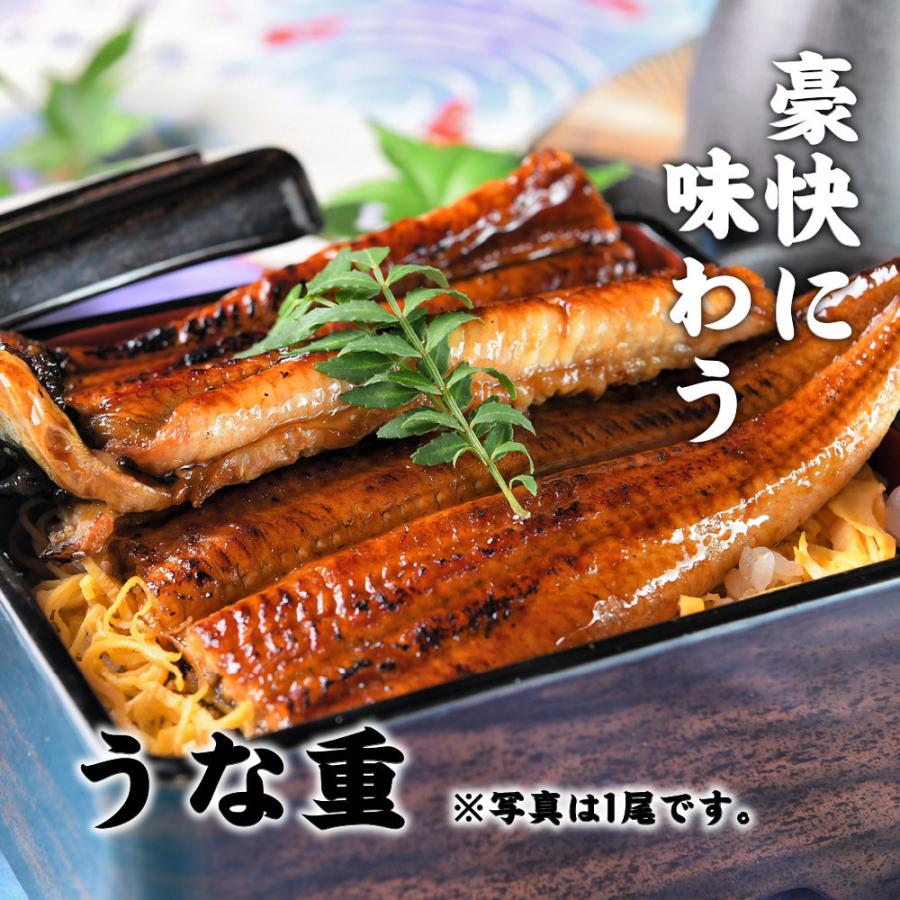 うなぎ 蒲焼き 1尾 鰻 特大 約250g ふっくら 肉厚