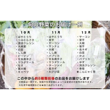 ふるさと納税 西粟倉産 「旬の野菜 おまかせセット」 F-FF-B01A 岡山県西粟倉村