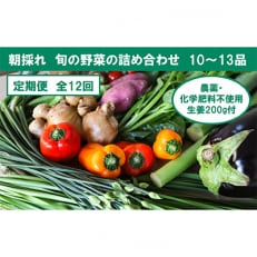 旬の野菜と栽培期間中農薬不使用の生姜付き全12回