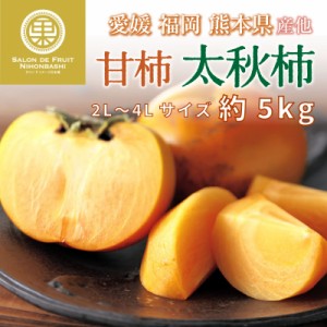 [予約 10月1日-11月30日の納品] 太秋柿 約 5kg 2L-4L 甘柿 かき たいしゅうがき 秋ギフト 愛媛 福岡 熊本 他 化粧箱 柿