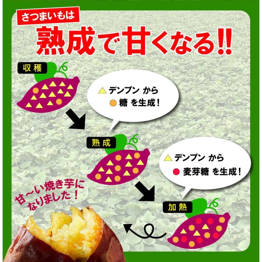 焼き芋 (P3倍) 冷凍 さつまいも 紅はるか 1kg セット 財宝 蜜焼き芋 500g×2 パック 送料無料 国産 無添加 長期熟成 甘い 鹿児島県産 サツマイモ お歳暮