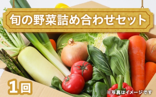 田舎の頑固おやじ厳選！旬の野菜詰め合わせセット [BI01-NT]