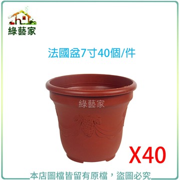 【綠藝家】法國盆7寸40個/組