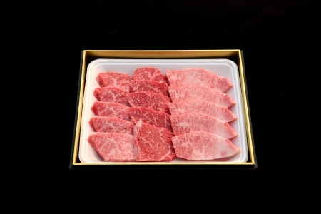  宮崎牛バラエティ焼肉倍セット　400ｇ×2Ｐ　4月以降発送（国産 牛肉 宮崎牛 お肉 ロース すき焼き 焼肉 特別提供）