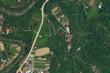 獨家釋出！近5000坪大塊山坡地！可談！｜南投縣國姓鄉北山坑段