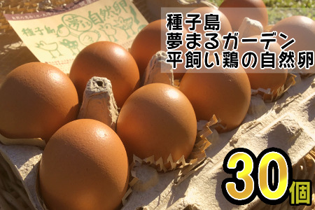 種子島　夢まるガーデンの平飼い　産み立てたまご×30個