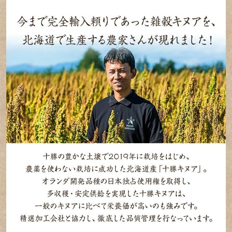 キヌア 900g 十勝キヌア 希少 国産 農薬不使用 北海道十勝 河田ファーム