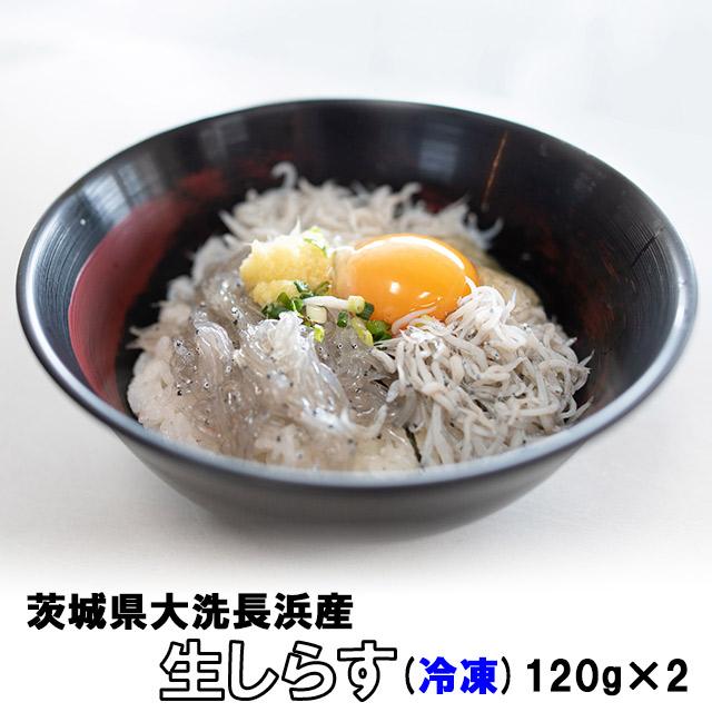 冷凍 ギフト しらす 生しらす 240g  120g×2  贈答用 白す シラス お取り寄せ 添加物不使用 茨城 大洗