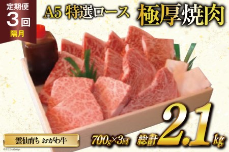 定期便 3回 牛肉 雲仙育ち おがわ牛 A5 特選 ロース 極厚焼肉 総計2.1kg(700g×3回) 黒毛和牛 冷凍   焼肉おがわ   長崎県 雲仙市