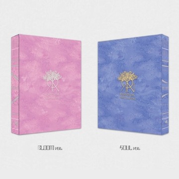 KINGDOM - HISTORY OF KINGDOM: PART Ⅵ. MUJIN