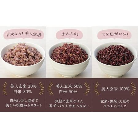 ふるさと納税 玄米・黒米・大豆の雑穀ブレンド＜美人玄米1kg×10袋＞ 広島県尾道市