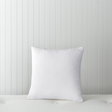 Sky Embroidery Overlay Decorative Pillow - Exclusive