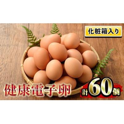 ふるさと納税 いちき串木野市  健康電子卵(鶏卵)6パック 60個入り