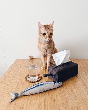 Sienna工業復古風仿舊油蠟布面紙套收納袋