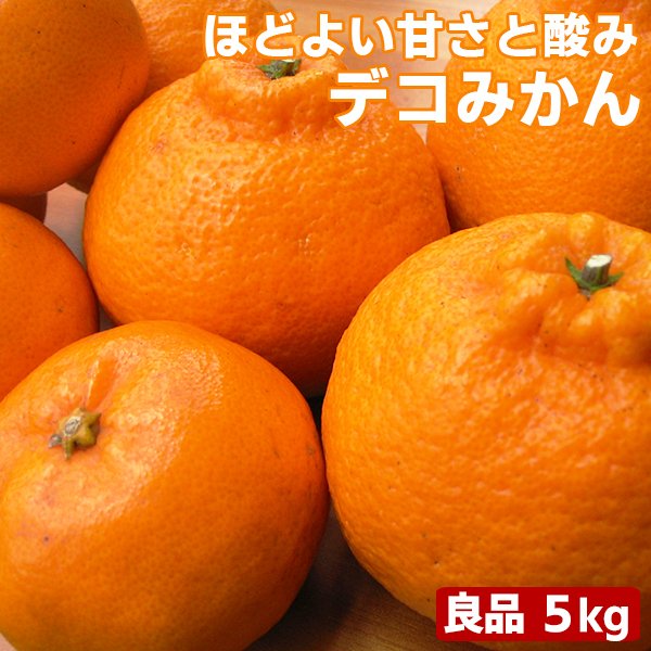 愛媛県産 デコみかん 5kg 良品 送料無料 デコポン 不知火と同品種 でこぽん フルーツ 果物 くだもの みかん 柑橘類