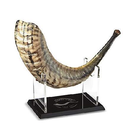 Shofar Zion Kosher ODORLESS Natural Shofar Rams Horn Smooth Mouthpiece for Easy Blowing Made in Israel Includes Exquisite Stand and Carrying B