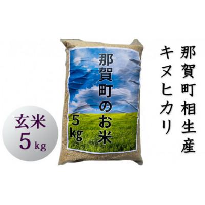 ふるさと納税 那賀町 那賀町相生産キヌヒカリ玄米5kg