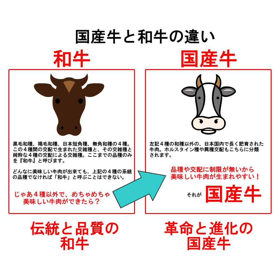 ご自宅用訳あり 脂肪分が少ない 国産牛 ヒレ ステーキ 赤身 120g ステーキ肉 冷凍 牛肉 お取り寄せグルメ 食材 ゆっくり払い 食品