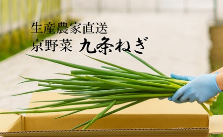 生産農家直送　京野菜・九条ねぎ　約1kg