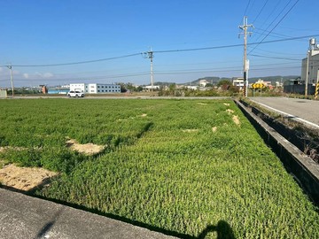 專賣 苗栗苑裡三面臨路漂亮方正農地免稅置產最佳首選｜苗栗縣苑裡鎮泰田