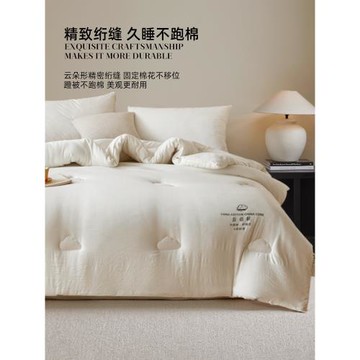 五星級酒店新疆棉花冬被保暖春秋被親膚透氣被子空調被棉絮被芯